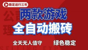 海外游戏全自动搬砖，日入1k+，全天无人值守，绿色稳定！【揭秘】-万象聊项目