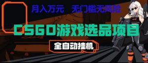 CSGO游戏自动扫货项目，全自动运行，月入1W，无风险，长期稳定可以做【揭秘】-万象聊项目