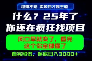 26年,请不要疯狂的找项目做了!卖项目才是真的稳賺不赔,看完照做,保底日入1k+【揭秘】-万象聊项目