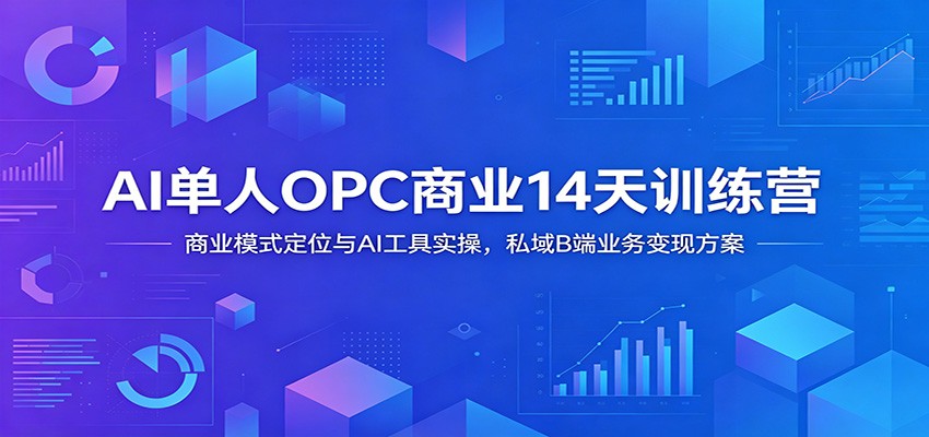 AI单人OPC商业14天训练营：商业模式定位与AI工具实操，私域B端业务变现方案-万象聊项目