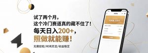 试了两个月，这个冷门赛道真的藏不住了！每天日入200+，照做就能赚！-万象聊项目