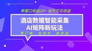 2026酒店数据采集ai智能矩阵新风口 低成本 高收益 当天见收益 单窗口20+-万象聊项目