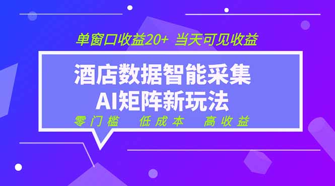 2026酒店数据采集ai智能矩阵新风口 低成本 高收益 当天见收益 单窗口20+-万象聊项目