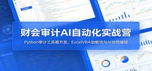 财会审计AI自动化实战营：Python审计工具箱开发，ExcelVBA加载项与AI协同编程-万象聊项目