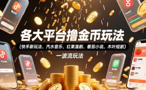 各大平台撸金币玩法(快手新玩法、汽水音乐、红果漫剧、番茄小说、木叶短剧)，一波流玩法(收费398元的教程)-万象聊项目