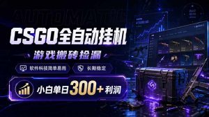 CSGO全自动挂机，游戏搬砖捡漏，软件科技简单易用，长期稳定，小白单日300+利润-万象聊项目