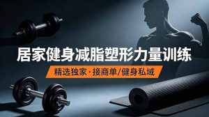 抖音健身热门短视频教学：居家健身减脂塑形力量训练，精选独家，接商单或者健身私域-万象聊项目