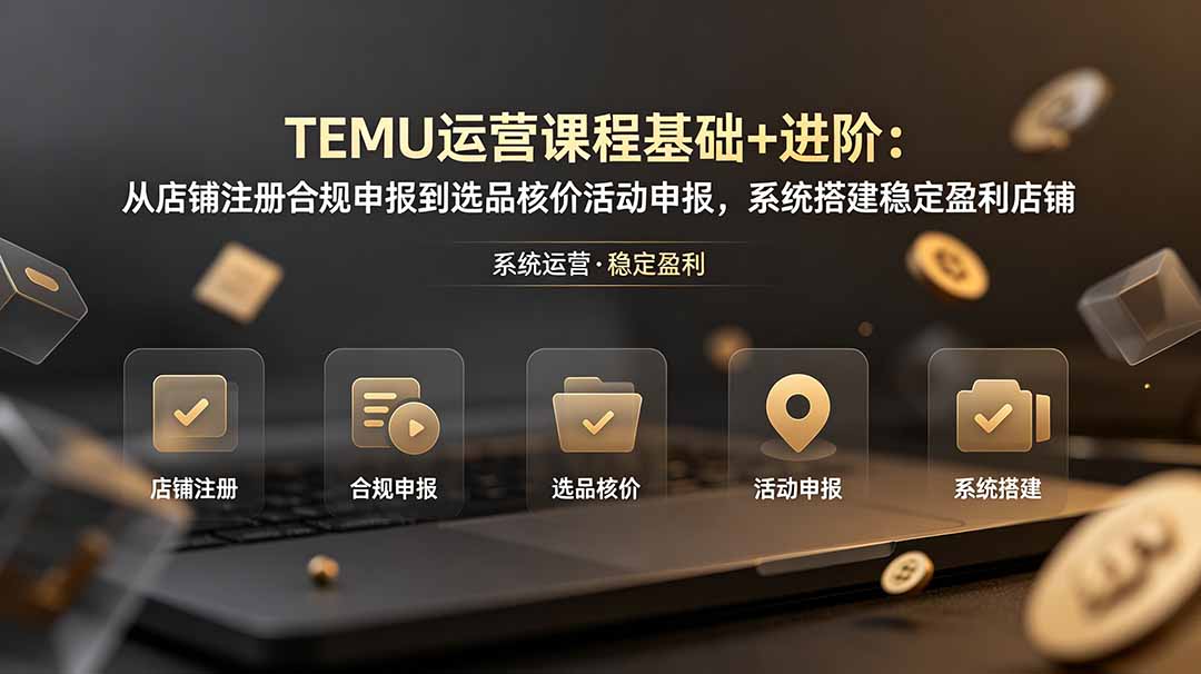 TEMU运营课程(基础+进阶-万象聊项目