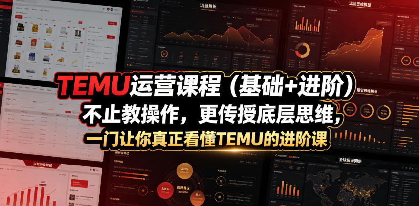 TEMU运营课程(基础+进阶)，不止教操作，更传授底层思维，一门让你真正看懂TEMU的进阶课-万象聊项目