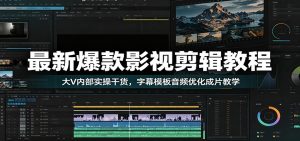 最新爆款影视剪辑教程：大V内部实操干货，字幕模板音频优化成片教学-万象聊项目