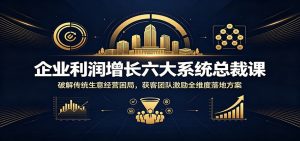 企业利润增长六大系统总裁课：破解传统生意经营困局，获客团队激励全维度落地方案-万象聊项目