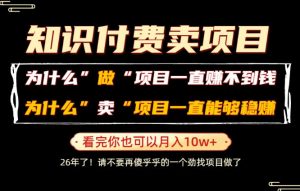 普通人为什么能够靠卖项目轻松月入10W+，而做项目却容易成炮灰，卖项目为什么能够稳賺不赔？【揭秘】-万象聊项目