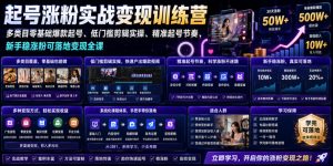 苗子起号涨粉实战变现训练营，多类目零基础爆款起号、精准起号节奏、新手稳涨粉可落地变现全课-万象聊项目