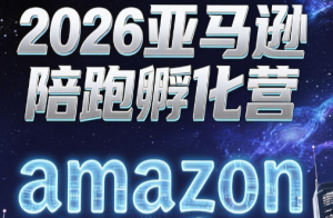 跨境米亚·亚马逊陪跑孵化营(更新7月)-万象聊项目
