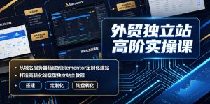 外贸独立站高阶实操课｜从域名服务器搭建到Elementor定制化建站，打造高转化询盘型独立站全教程-万象聊项目