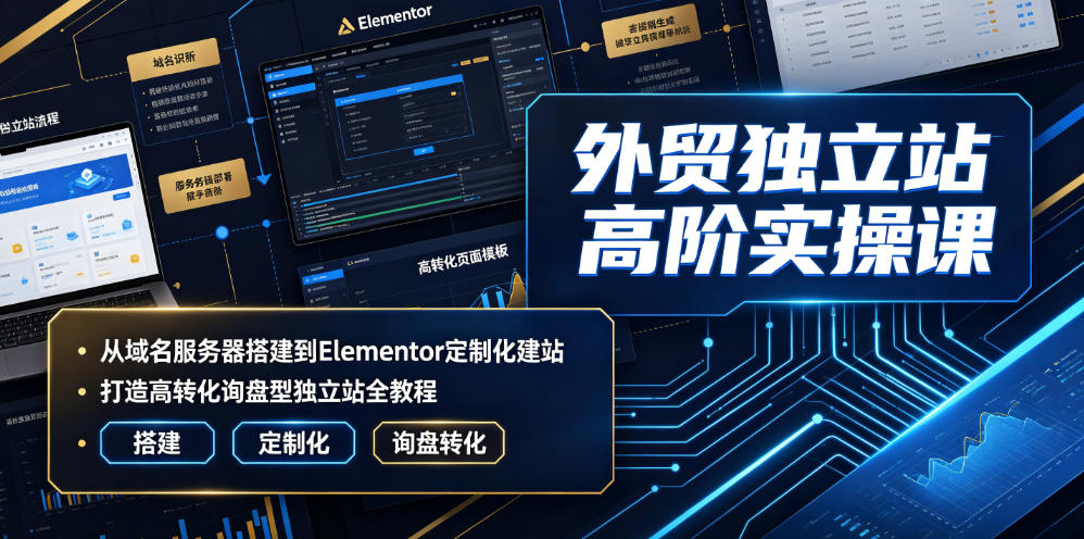 外贸独立站高阶实操课｜从域名服务器搭建到Elementor定制化建站，打造高转化询盘型独立站全教程-万象聊项目