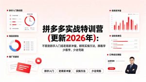 拼多多实战特训营(更新2026年-万象聊项目