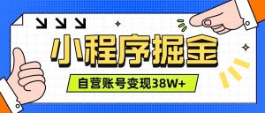 微信小程序掘金，团队自营小程序累计变现38W+，稳定运营三年，一部手机即可操作-万象聊项目