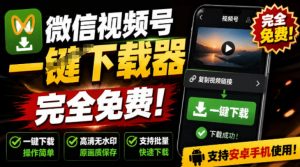 手机端也可下载微信视频号了？完全免费使用，一键解析视频号原视频和封面视频号下载助手v1.1-万象聊项目