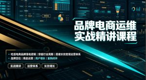 品牌电商运维实战精讲课程｜吃透电商品牌落地逻辑、穿越行业周期、搭建长效变现运营体系-万象聊项目