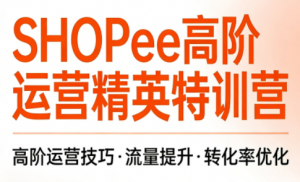 梦凡老师·Shopee虾皮高阶运营课程(更新)-万象聊项目