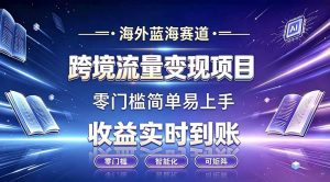 海外蓝海赛道 跨境流量变现项目 收益实时到账 零门槛简单易上手-万象聊项目