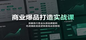 商业爆品打造实战课：拆解各行各业头部品牌案例，吃透爆款底层逻辑落地运营教程-万象聊项目