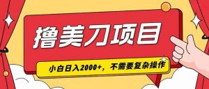 撸美刀，单日收入2000+，小白可做-万象聊项目