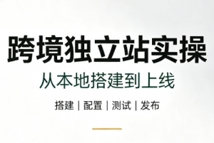 跨境独立站实操:从本地搭建到上线-万象聊项目