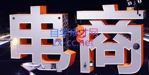 幕思城·淘宝培训VIP课程(更新7月)-万象聊项目