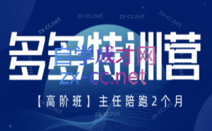 纪主任·拼多多特训营(更新8月)-万象聊项目
