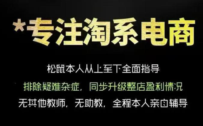 松鼠会电商VIP课程，从基础布局到高阶优化，助你掌握淘宝运营逻辑，提升店铺流量与转化(更新0809)-万象聊项目