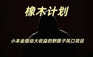 橡木计划，小投入撬动高回报的风口野路子项目，一天投入2小时左右-万象聊项目