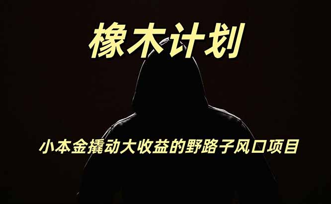 橡木计划，小投入撬动高回报的风口野路子项目，一天投入2小时左右-万象聊项目
