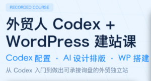 大卫·外贸人Codex + WordPress建站课(更新8月)-万象聊项目