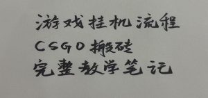 游戏挂机全流程笔记分享，CSGO游戏搬砖，小白看了当天学会见收益-万象聊项目
