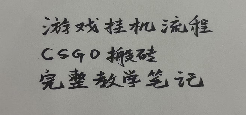 游戏挂机全流程笔记分享，CSGO游戏搬砖，小白看了当天学会见收益-万象聊项目