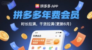 拼多多年费会员,实经验分享操,时长拉满,干货拉满(更新260812)-万象聊项目