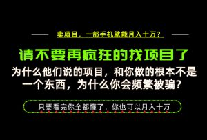 为什么做项目的人大多都是炮灰？为什么只有卖项目才能稳？看完你也可以月入10W+【揭秘】-万象聊项目