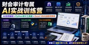财会审计专属AI实战训练营|AI协同编程+Python审计工具箱+Excel VBA加载项落地(更新0816)-万象聊项目