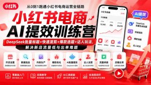 小红书电商AI提效训练营—DeepSeek批量标题+快速混剪+爆款选题+达人玩法，解决新店流量低与出单难题-万象聊项目