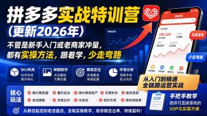 拼多多实战特训营(更新26年0822-万象聊项目