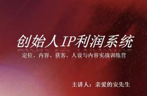 创始人IP利润系统8月训练营，定位、内容、获客、人设与内容实战训练营-万象聊项目