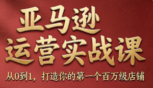 skyla·亚马逊运营实战课(更新8月)-万象聊项目