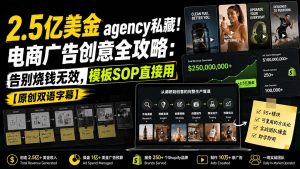 2.5亿美金agency私藏！电商广告创意全攻略：告别烧钱无效，模板SOP直接用【原创双语字幕】-万象聊项目