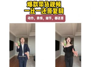 AI带货视频复刻，一比一还原加二创，动作，表情，细节，都还原，新手也能直接套用-万象聊项目