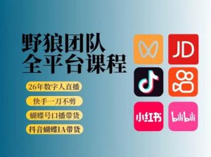 野狼团队2026新版全平台短视频带货教学，打开流量突破口，开始Ai带货(更新0903)-万象聊项目
