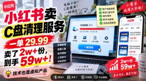 小红书卖C盘清理服务，一单29.99，卖了2w+份，技术也是虚拟产品-万象聊项目