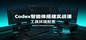 Codex智能体搭建实战课：工具环境配置，自定义技能开发，多业务自动化教学-万象聊项目