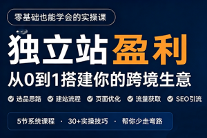 刘老师·5节课跑通独立站盈利全流程-万象聊项目